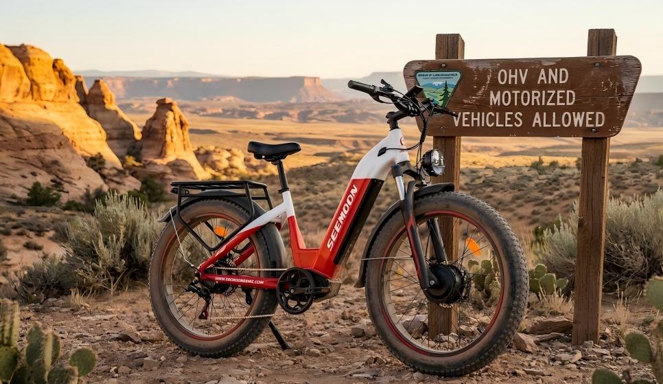 electric road bicycles Rad Power Bikes Radster Trail Off-Road Bike Regular: Riders 4'11" to 5'8" in Fir Green This is not a heavy or intrusive e Top 7 BEST E-Road Bikes