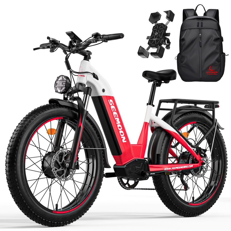 Electric bikes-SM1