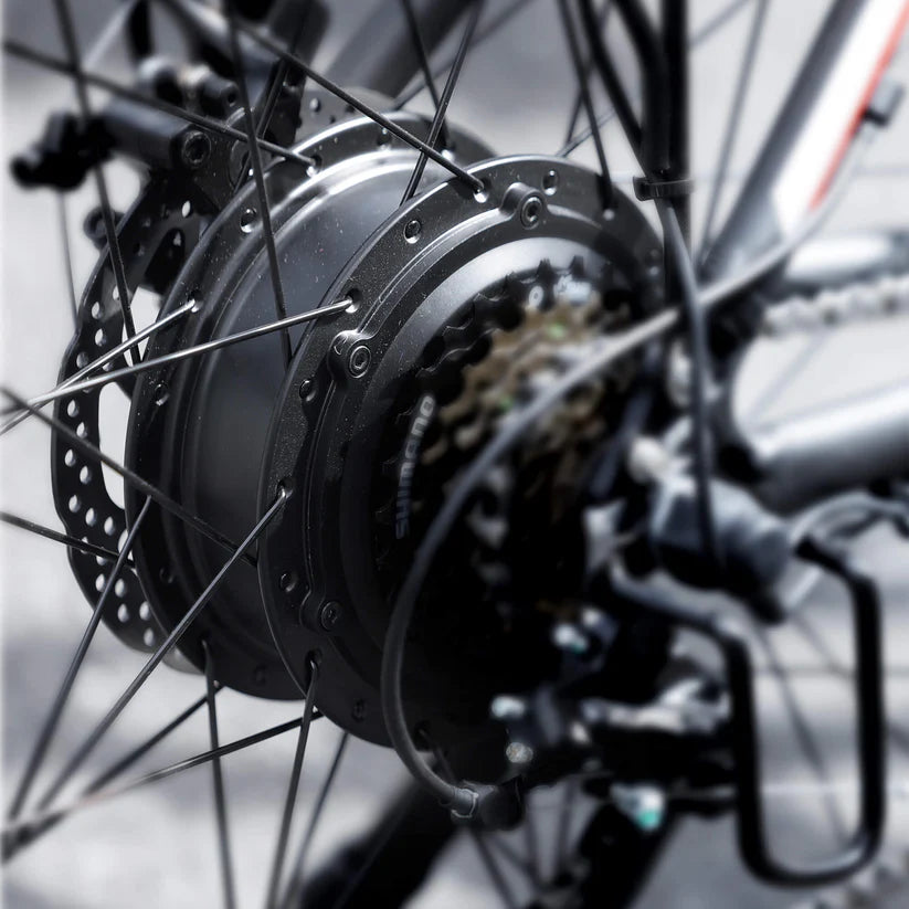 seemoon ebike for motor