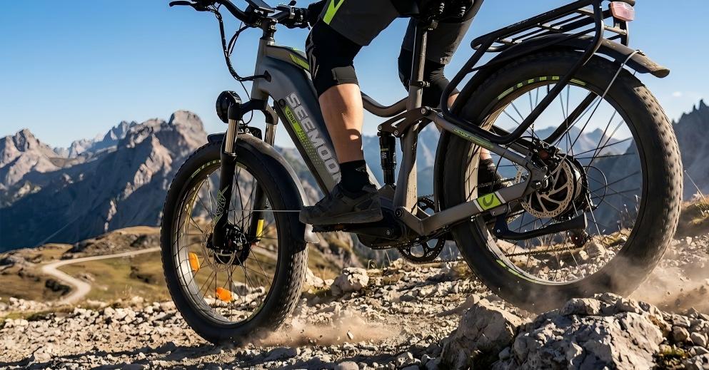 Seemoon SM3 full suspension system with adjustable front fork and rear shock for 45mph off-road comfort.